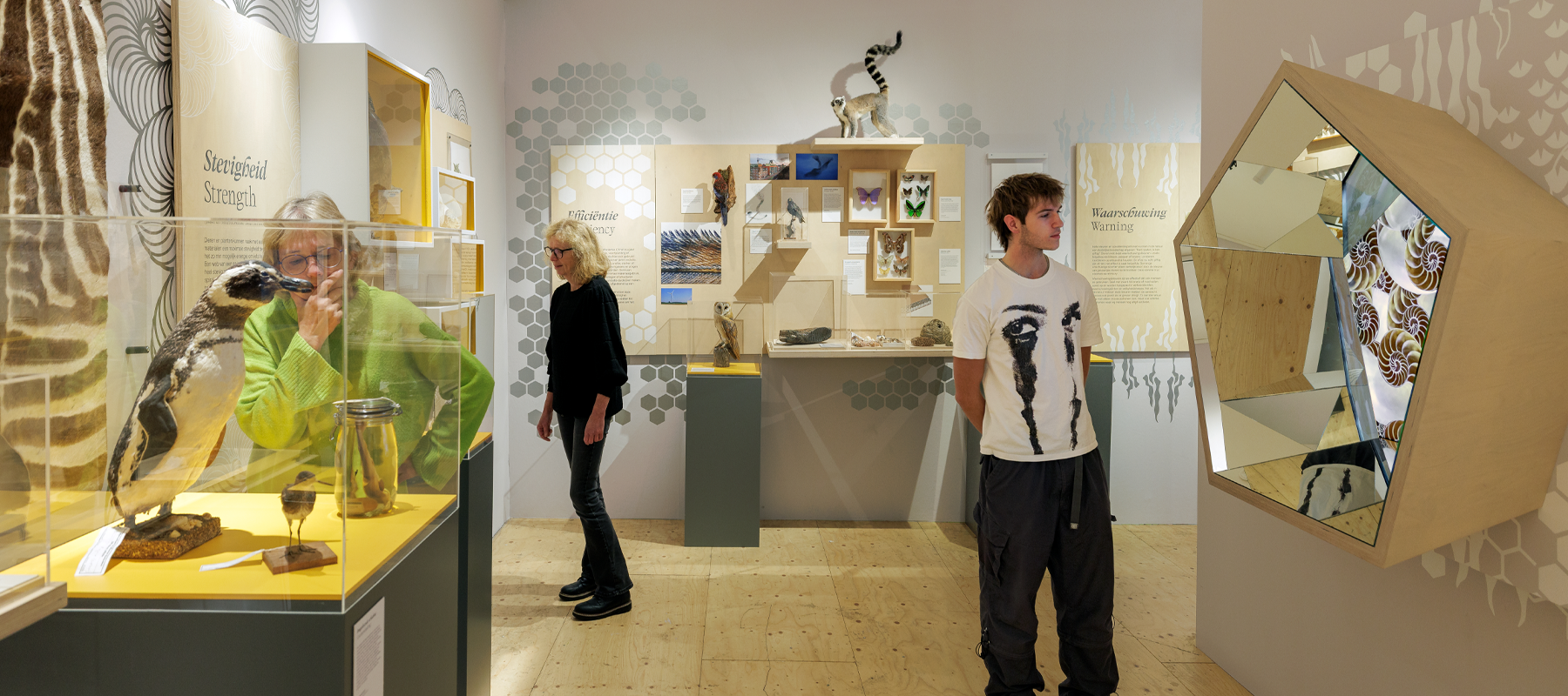 Stippen, Strepen & Spiralen