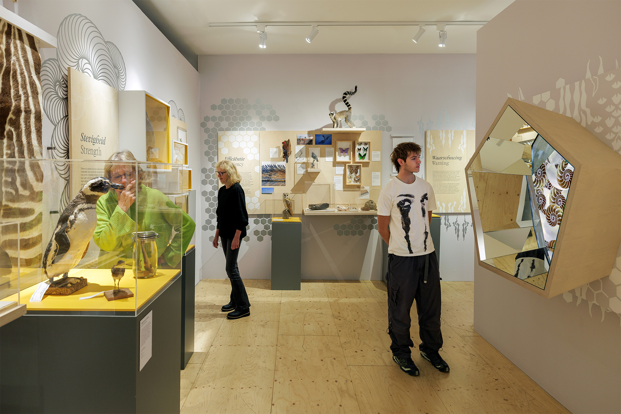 Stippen, Strepen & Spiralen