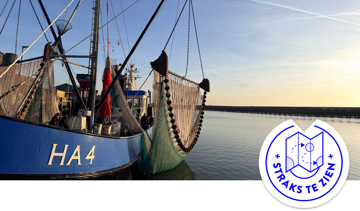 Image for De komende tijd werken we voor Gemeente Harlingen aan het ontwerp van twee ruimtes voor het toekomstige expeditiecentrum in de Nieuwe Willemshaven. Straks te zien!