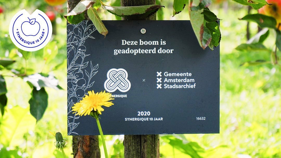 Image for Het leuke aan samenwerken met @stadsarchief Amsterdam is dat ze altijd open staan voor vernieuwing. Toen we voor de tentoonstelling ‘KIJK Amsterdam’ (2016) een levensgrote kartonnen kijkdoos en zeer uitgesproken muurkleuren voorstelden, durfden ze het aan