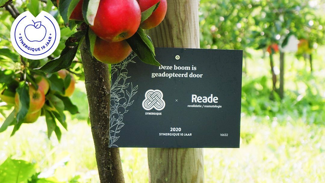 Image for Geen museum vandaag, wel een klant waar we al sinds 2016 regelmatig animaties voor maken. @readeamsterdam is een reumatologisch- en revalidatie centrum in Amsterdam. Om hun patiënten beter geïnformeerd aan een behandel- of revalidatie traject te laten