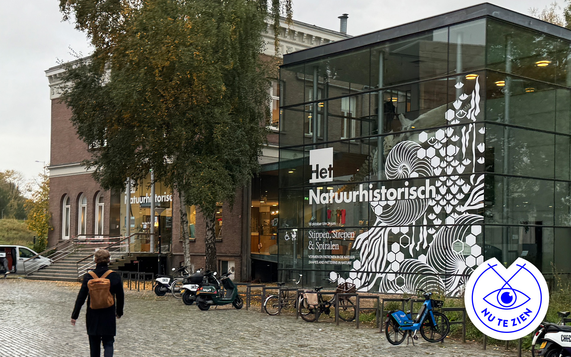 Image for Laat je inspireren door prachtige patronen uit de natuur in onze nieuwste tentoonstelling ‘Stippen, Strepen en Spiralen’. Nu te zien in het Natuurhistorisch Museum Rotterdam.