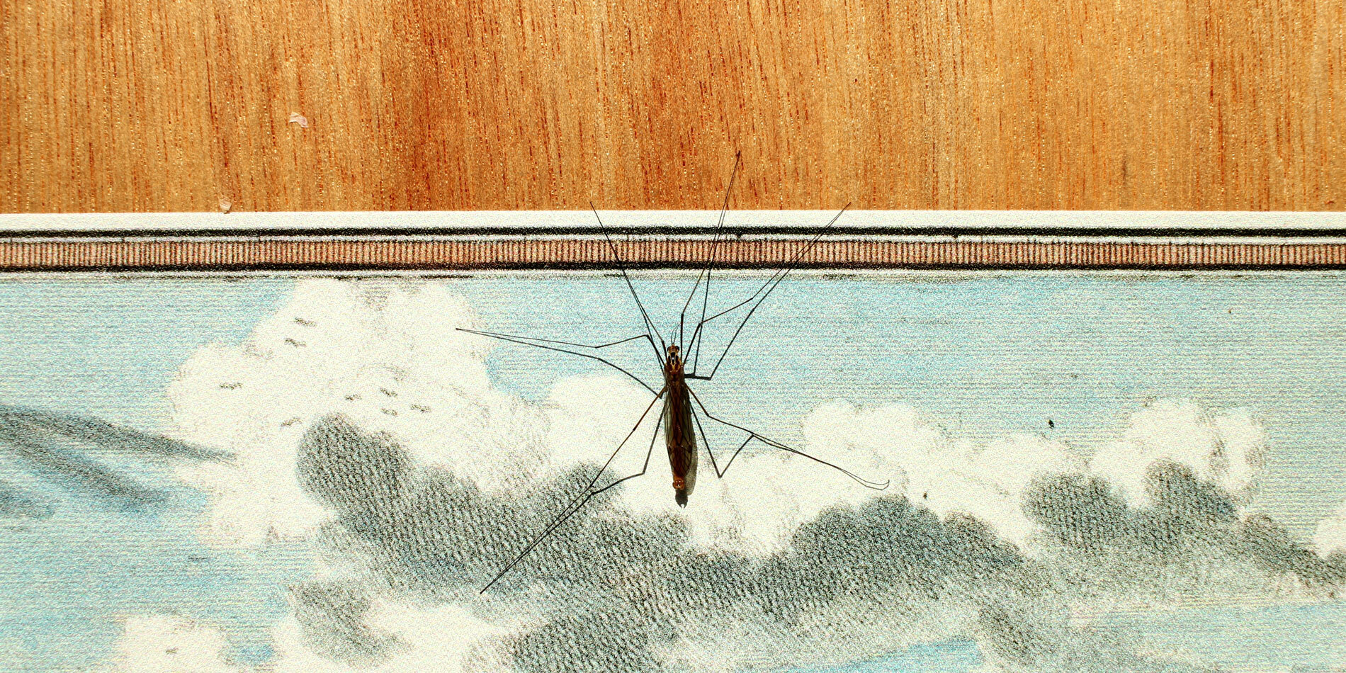 Image for De natuur neemt Binnenstebuiten langzaam over! Zo mooi.